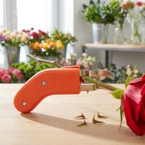 Artikel Rosenentdorner Rostfrei Dornlos 80ES Orange für Floristen