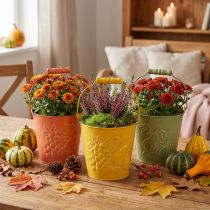 Artikel Deko-Eimer Früchte Gelb, Orange, Grün gewaschen Ø15cm H14cm 3er-Set