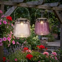 Artikel LED Gartenleuchte Glas Solar Hänge Deko Lila Ø10,5cm 2St