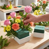 Artikel OASIS® Table Design 6cm Neo & Viva 24 St