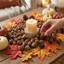 Artikel Eicheln zum Dekorieren, Herbstdeko, Herbstfrüchte natürlich Ø1,5 – 2,5cm L1,5 – 3cm 300g