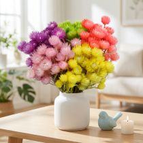 Artikel Trockenblumen Deko Capblumen Strohblumen Gefärbt H42cm