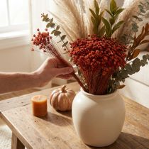 Artikel Trockenblumenstrauß 44cm rot-natur aus Glixia und Gräsern für stilvolle Deko und DIY