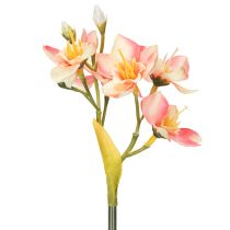 Artikel Deko Blütenzweige Inkalilie Rosa 33cm 6er Set für Elegante Dekoration