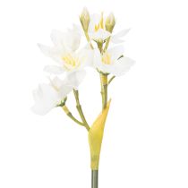 Artikel Künstlicher Narzissenzweig Weiß mit Gelben Akzenten 33cm 6er-Set für Hochzeits- und Frühlingsdeko