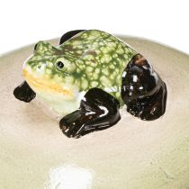 Artikel Dekorativer Frosch auf Stein aus Keramik, wetterfest, 13 cm
