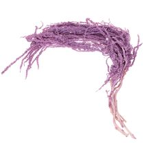 Artikel Getrockneter Fuchsschwanz Amaranth 100cm Dekoration Innenbereich 5 Stück