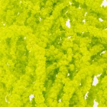 Artikel Trockenblumen Fuchsschwanz Amaranth gefärbt 100 cm für Innenraumdekoration