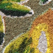 Artikel Fußmatte Zitrone Kokos Naturfaser Abstreifer Türmatte 40×60cm
