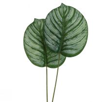 Calathea Künstlich Korbmarante Kunstpflanzen Grün 51cm