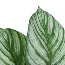 Calathea Künstlich Korbmarante Kunstpflanzen Grün 51cm