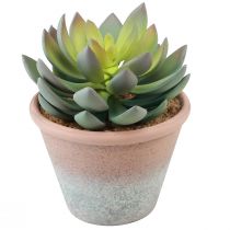 Artikel Sukkulente im Topf Echeveria künstlich Grün Vintage Ø15cm H16cm