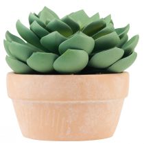 Sukkulente im Topf Echeveria künstlich Grün Ø15cm