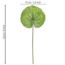 Artikel Galax Urceolata Künstliche Blätter Dunkelgrün Ø10cm L23cm 12 St Dekoration