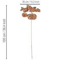 Artikel Gartenstecker Metall Kürbis Motiv 100cm Rostoptik