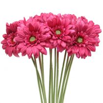 Artikel Gerbera Pink 48cm 12St