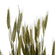 Artikel Gerste Getreide Deko Trockendeko Natur 80cm Bund für Floristen