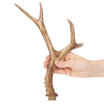 Artikel Künstliches Geweih Polyresin naturgetreu 32cm für Innenbereich