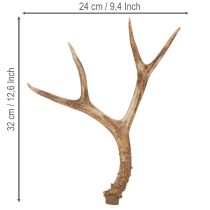 Artikel Künstliches Geweih Polyresin naturgetreu 32cm für Innenbereich