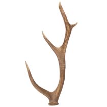 Artikel Deko-Geweih aus Polyresin braun 50x29x11cm für Innenräume
