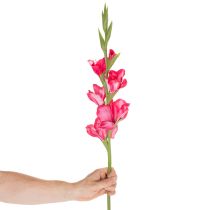 Artikel Künstliche Gladiole 88cm, Pink, Kunstseide und Kunststoff, Innenbereich