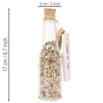 Artikel Glasflasche Set mit Muscheln und Anhänger, ca. 17 cm, Naturdeko, 2 Stück
