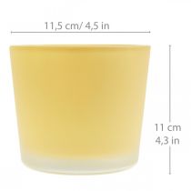 Glas Blumentopf Gelb Dekoglas Glaskübel Ø11,5cm H11cm