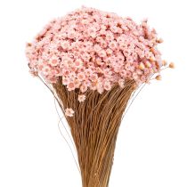 Artikel Deko-Blütenbund Frühling Ostern 44cm Rosa Natur für Festliche Anlässe