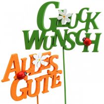 Artikel Glückwunsch Blumenstecker Pflanzenstecker Holz 8cm 6 St