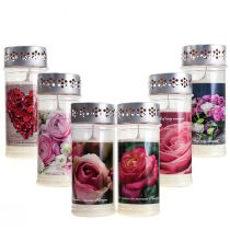Grabkerzen mit Motiv Rosen Trauerlichter Gemischt Ø7cm H18,5cm 6St