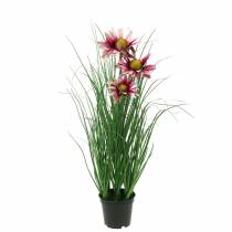 Artikel Gras mit Echinacea künstlich im Topf Pink 44cm