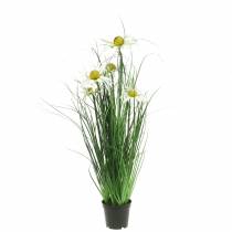 Gras mit Echinacea künstlich im Topf Weiß 52cm