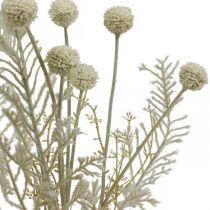 Artikel Trockengräser künstlich Pampasgras Allium Crème, Beige H60cm