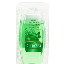 Artikel Grünpflanzen-Dünger Vitalkur Ampullen 30 ml, 5 Stück, Innenbereich