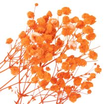Artikel Schleierkraut Trockenblumenstrauß Gypsophila Orange 75cm 100g
