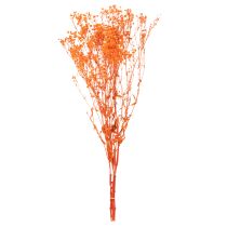 Artikel Schleierkraut Trockenblumenstrauß Gypsophila Orange 75cm 100g