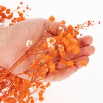 Artikel Schleierkraut Trockenblumenstrauß Gypsophila Orange 75cm 100g