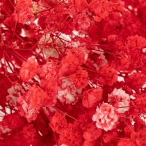 Artikel Trockenblumen Schleierkraut Bund 75 cm Rot 100 g für Dekoration