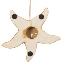 Artikel Seestern Dekohänger aus Keramik 12 cm, 2 Stück in Beige für maritimes Ambiente
