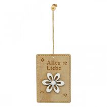 Artikel Anhänger Holz Schild mit Spruch Frühlingsdeko 8×12cm 8St