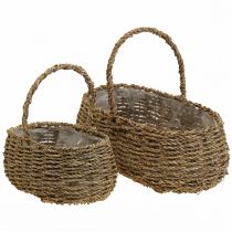 Pflanzkorb mit Henkel Korb Blumenkorb L23/35cm 2er-Set