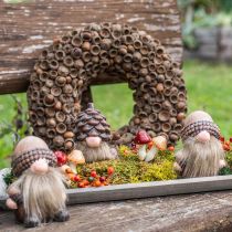 Herbstdeko Kranz aus Eicheln Naturkranz Ø30cm