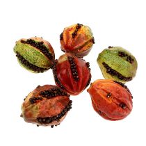 Herbstfrüchte 3,5cm Rot, Braun 24St