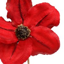 Holzblüte als Stecker Rot Ø9cm - 12cm L45cm 15St