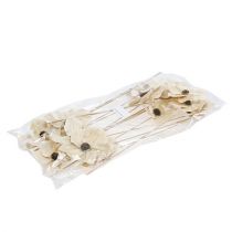 Artikel Holzblüte als Stecker gebleicht Ø9-12cm L45cm 15 St