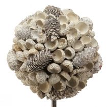 Artikel Naturinspirierte Holzdeko "Winterzauber" mit Birke, Eicheln und Zapfen in Weiß, H40cm