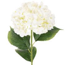 Artikel Hortensie künstlich Langstiel Kunstblume 60cm Creme