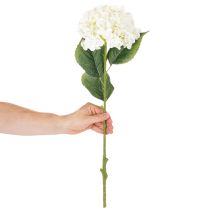 Artikel Hortensie künstlich Langstiel Kunstblume 60cm Creme