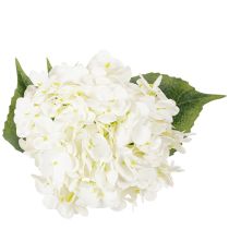 Artikel Hortensie künstlich Langstiel Kunstblume 60cm Creme