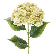 Artikel Künstliche Hortensie 60cm Creme-Grün mit Drahtkern